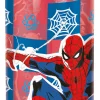 Borraccia ecozen 540 ml spiderman