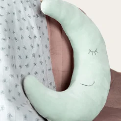 Cuscino cuddy luna frosty green – roba
