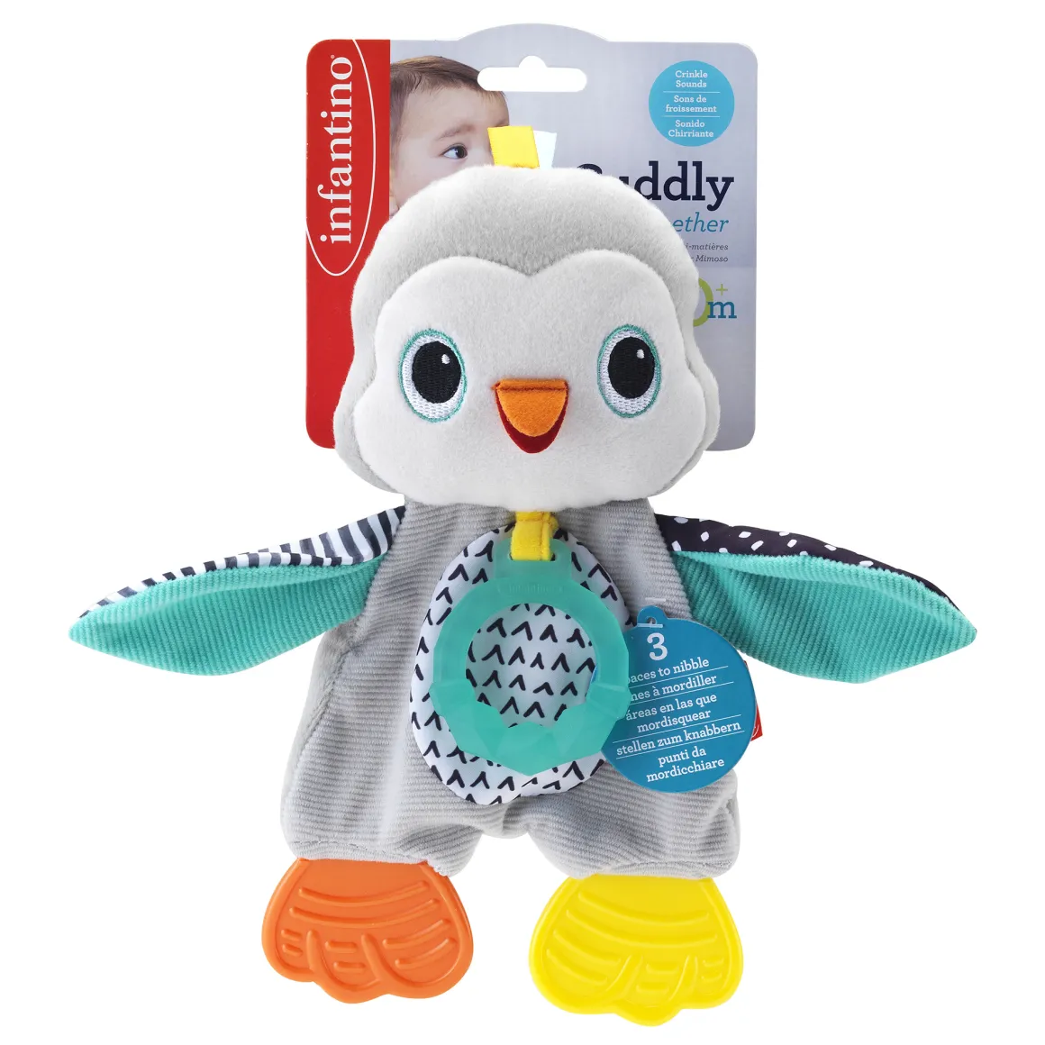 Dentaruolo pinguino
