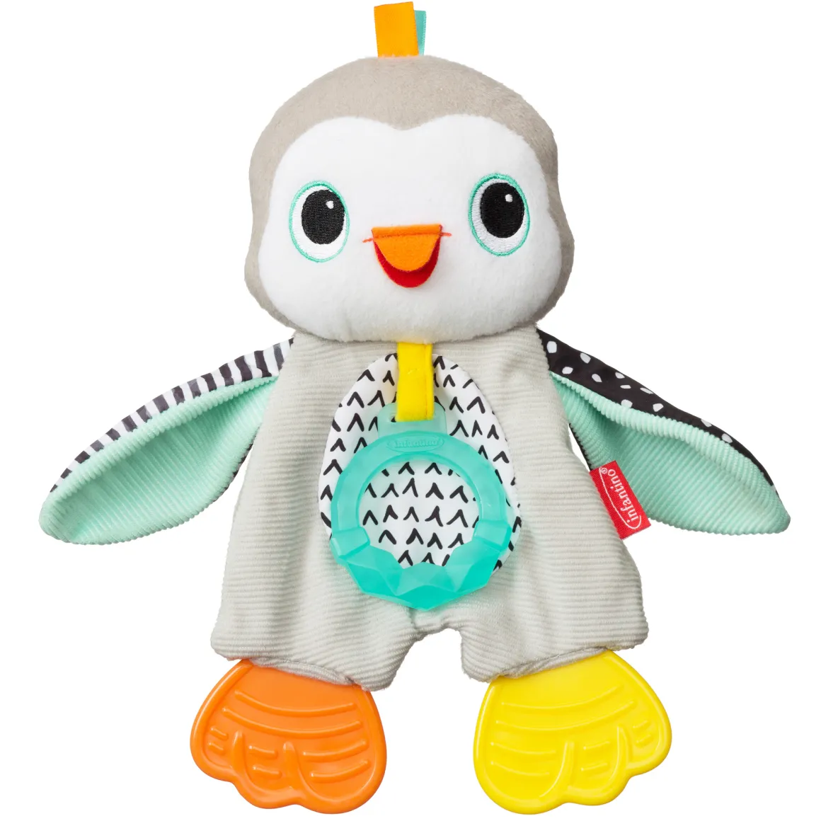 Dentaruolo pinguino