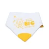 Giordani bavaglino massaggiagengive winnie the pooh