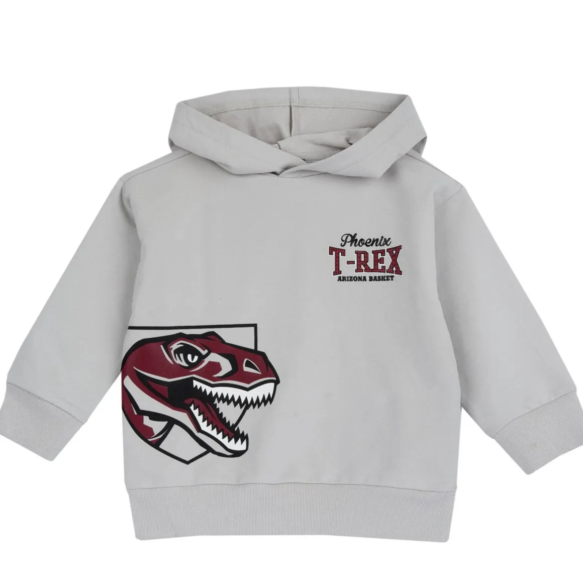 Maglia felpa con cappuccio st dino – chicco