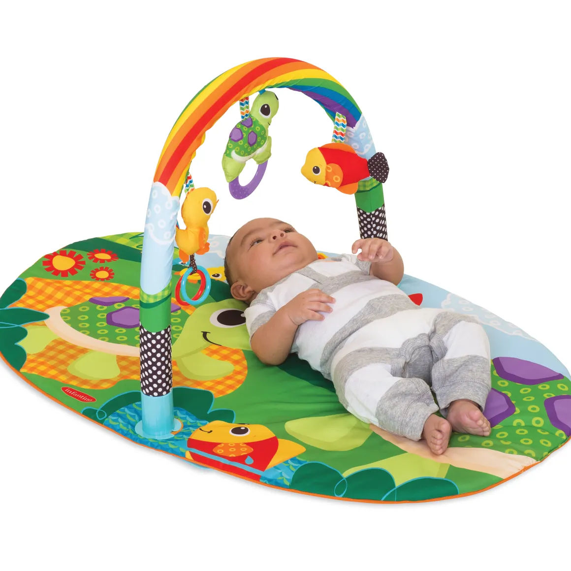 Palestrina – activity gym – gioco e crescita