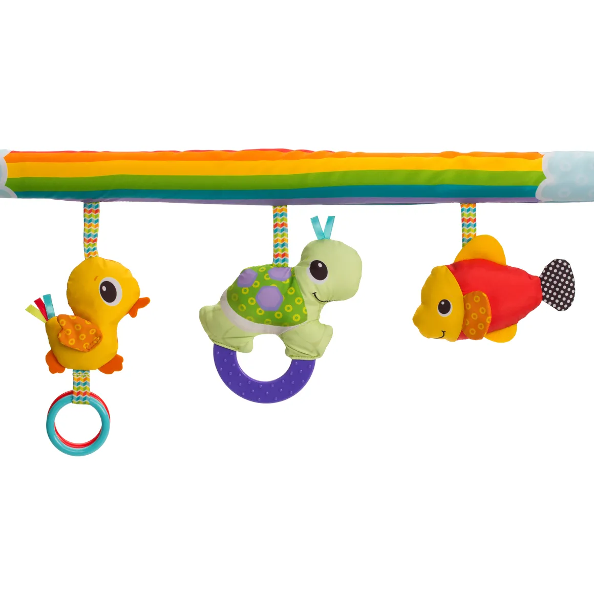 Palestrina – activity gym – gioco e crescita